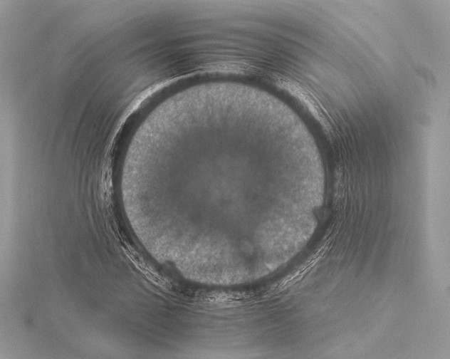 X0000115350923200912011049