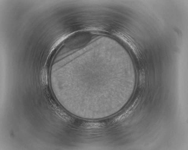 X0000115350925200912011049