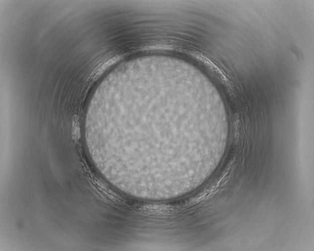 X0000115350929200912011049