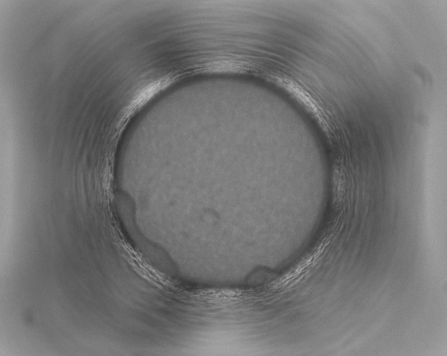 X0000115350930200912011049