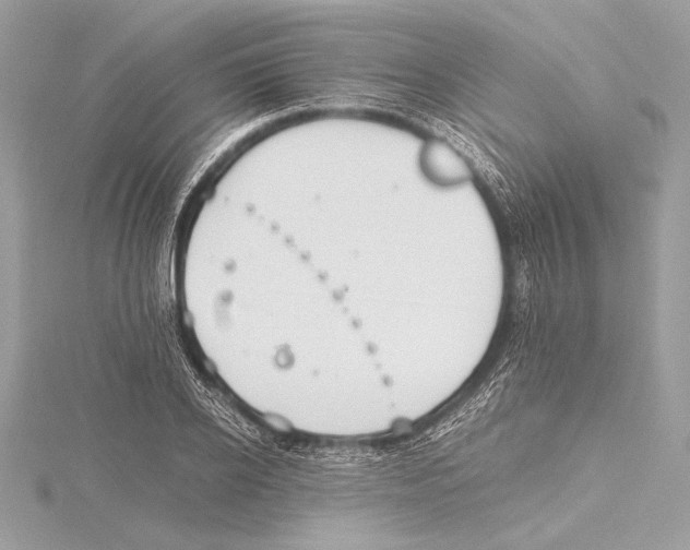 X0000115350934200912011049