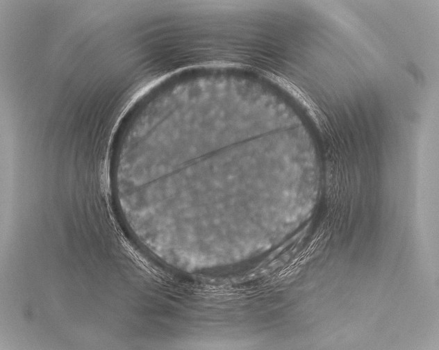 X0000115350935200912011049