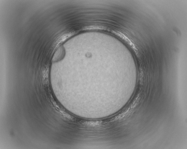 X0000115350937200912011049