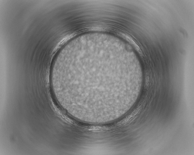 X0000115350938200912011049