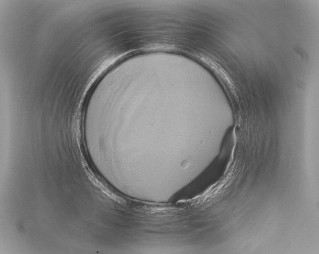 X0000115350941200912011049