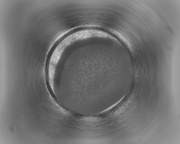 X0000115350943200912011049