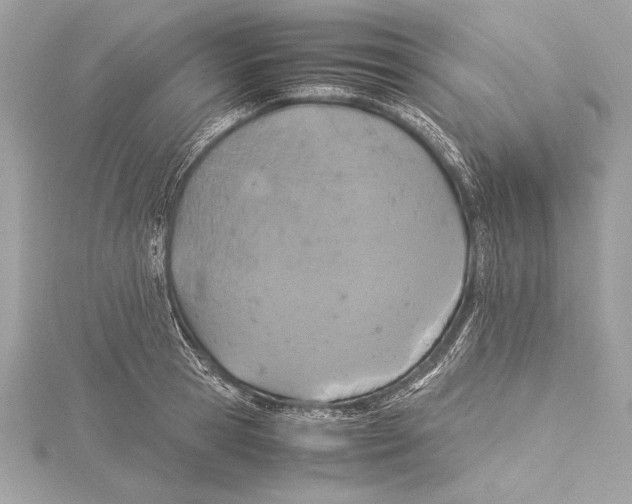 X0000115350945200912011049