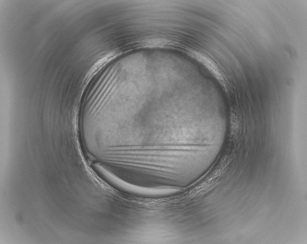 X0000115350946200912011049