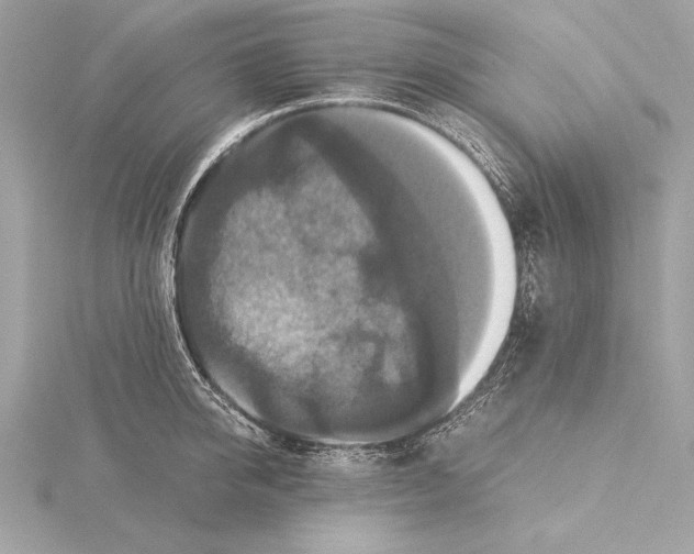 X0000115350950200912011049