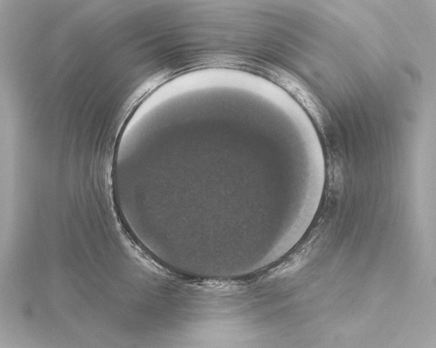 X0000115350954200912011049