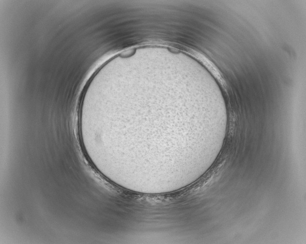 X0000115350955200912011049