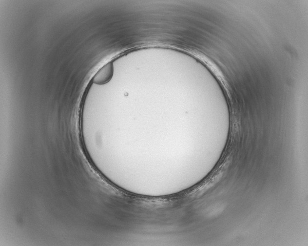 X0000115350957200912011049