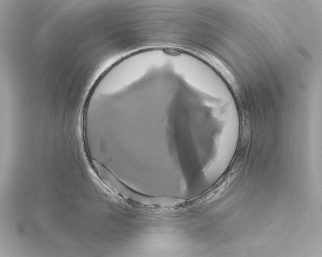 X0000115350958200912011049