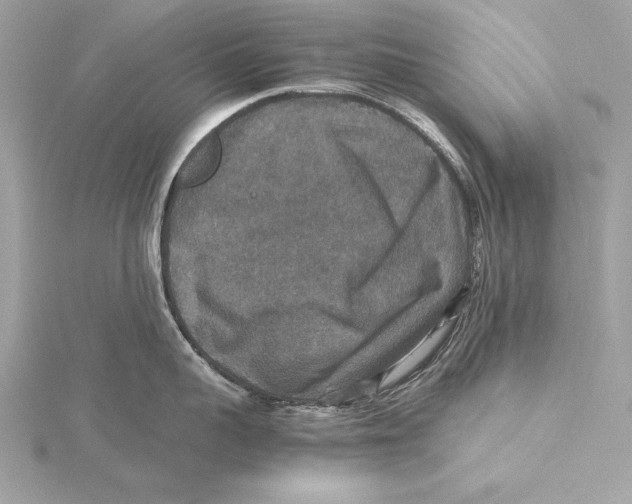 X0000115350959200912011049