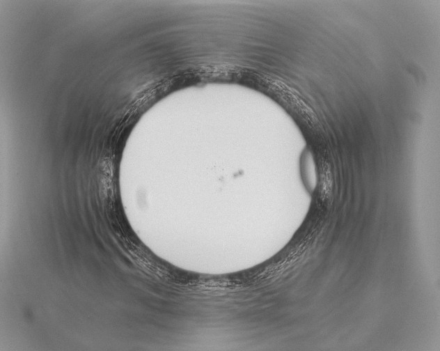 X0000115350964200912011048