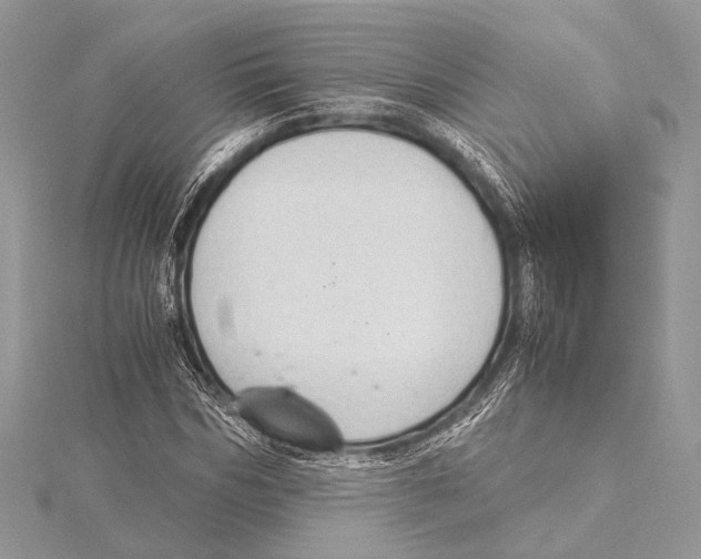 X0000115350970200912011048