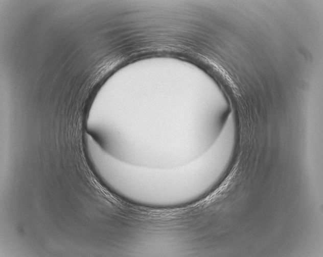 X0000115350977200912011048