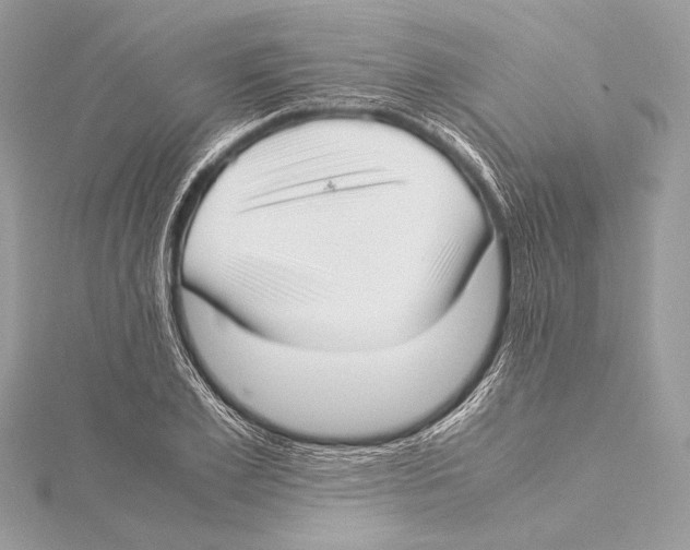 X0000115350981200912011048