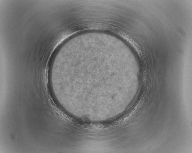 X0000115350983200912011048