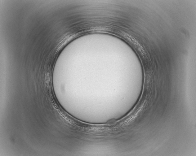 X0000115350985200912011048