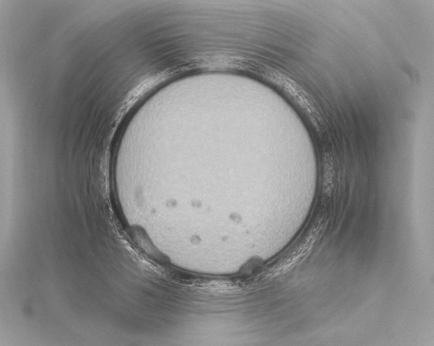 X0000115350986200912011048