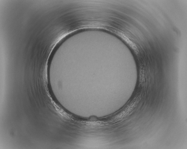 X0000115350988200912011048