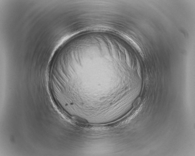 X0000115350989200912011048