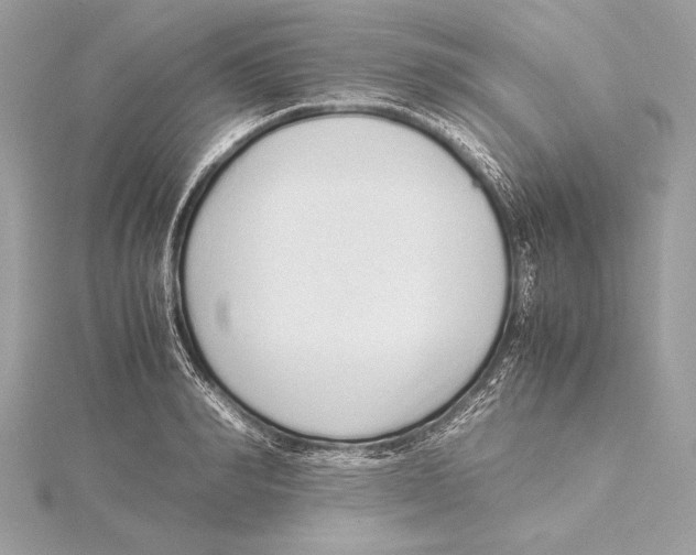 X0000115350990200912011048