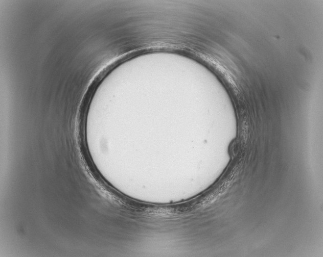 X0000115350991200912011048