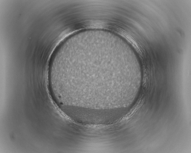 X0000115350992200912011048