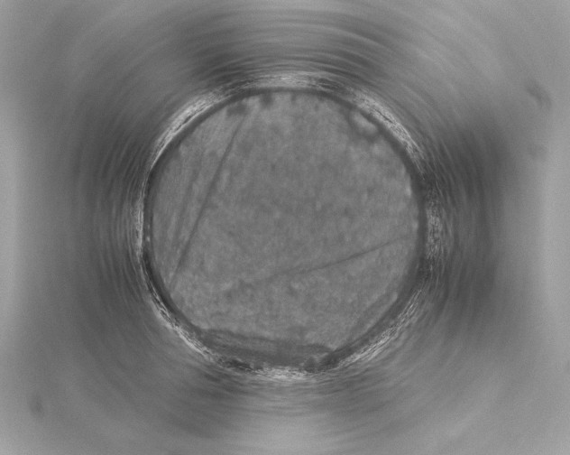 X0000115350994200912011048