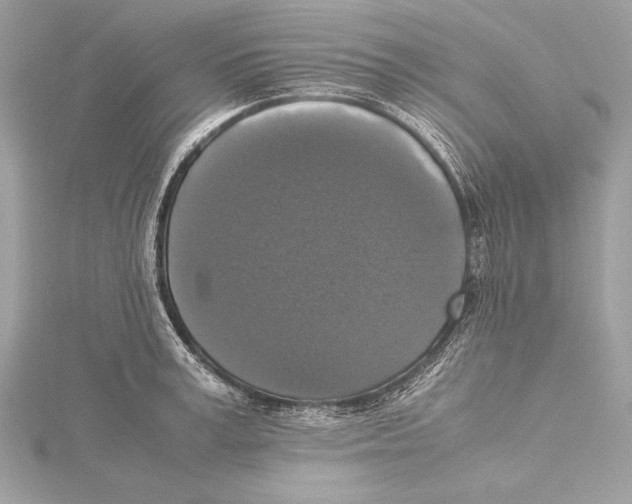 X0000115350995200912011048