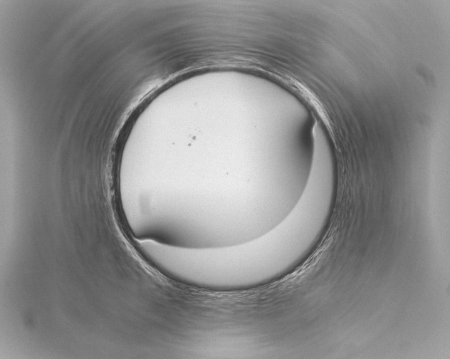 X0000115350997200912011048