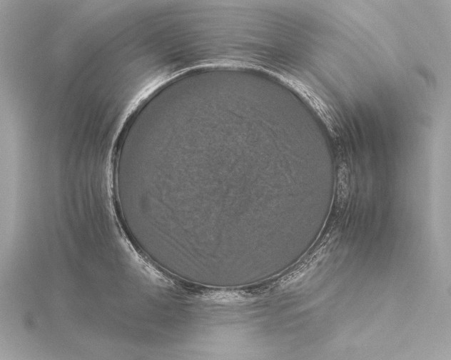 X0000115350998200912011048