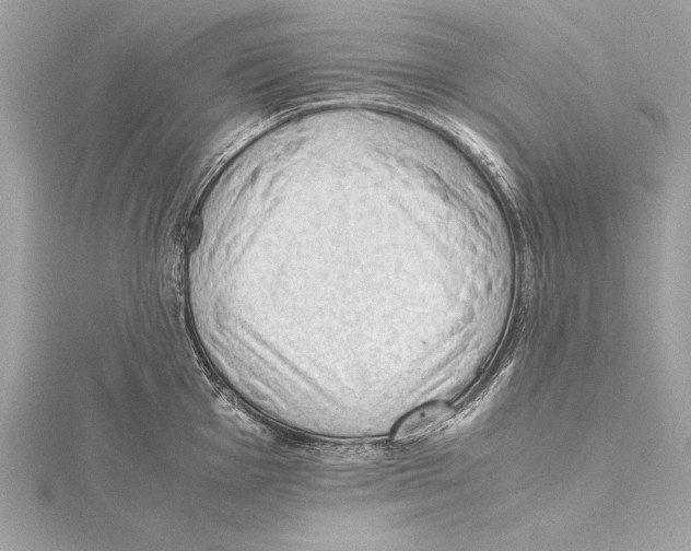 X0000115351001200912011048