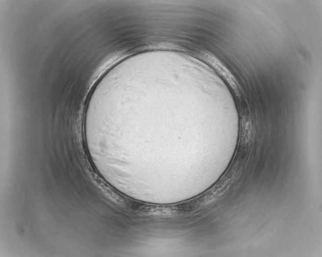 X0000115351002200912011048