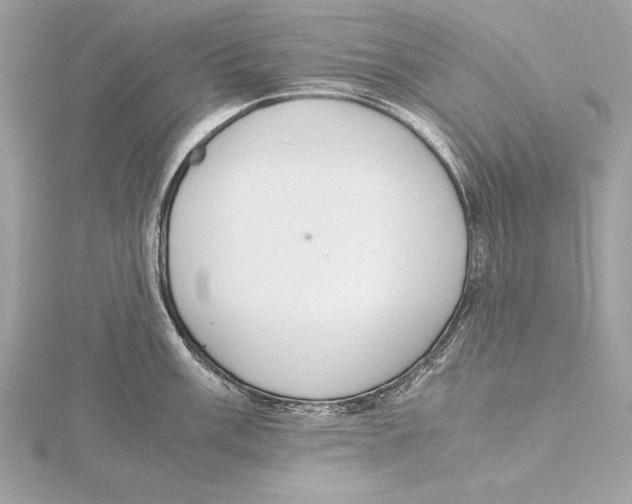 X0000115351003200912011048