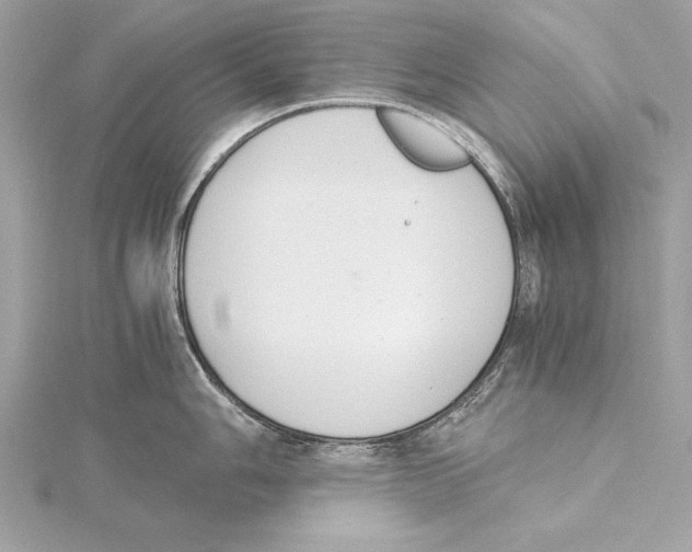 X0000115351006200912011048