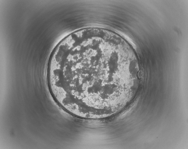 X0000115351007200912011048