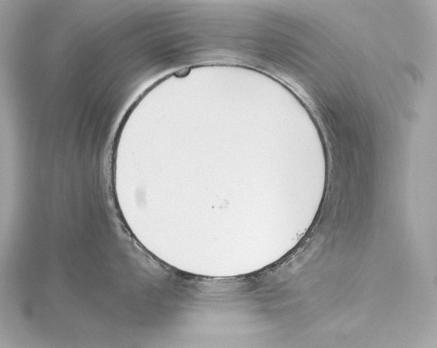 X0000115351008200912011048