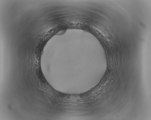 X0000115351013200912011047