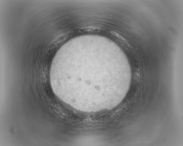 X0000115351014200912011047