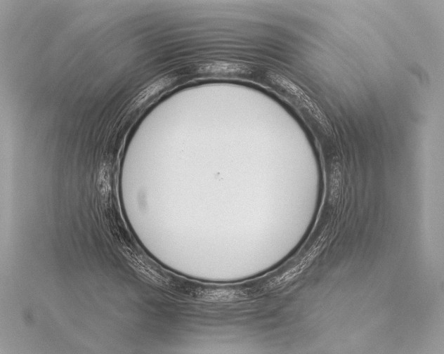 X0000115351017200912011047