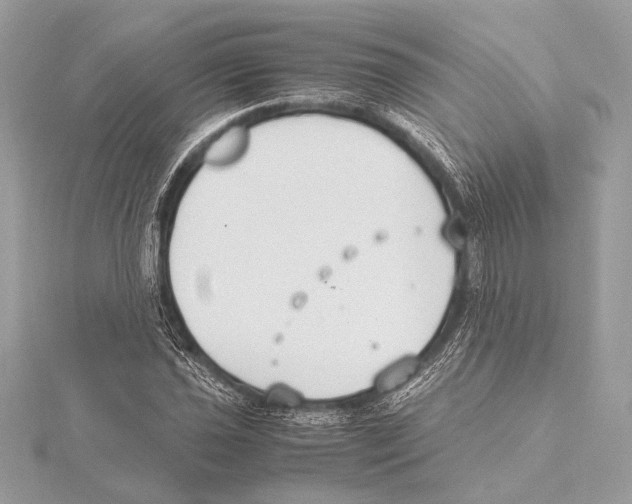 X0000115351021200912011047