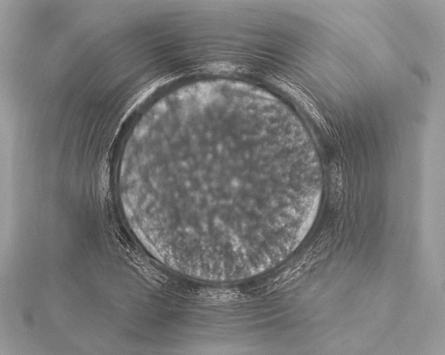 X0000115351023200912011047