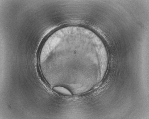 X0000115351024200912011047