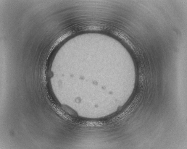 X0000115351026200912011047