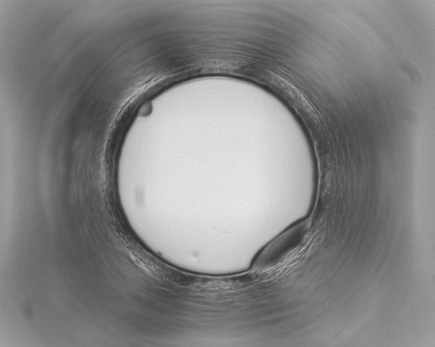 X0000115351027200912011047