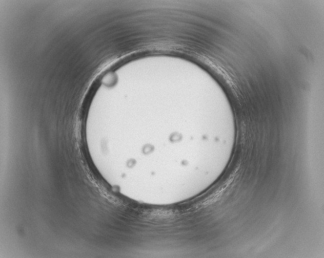 X0000115351029200912011047