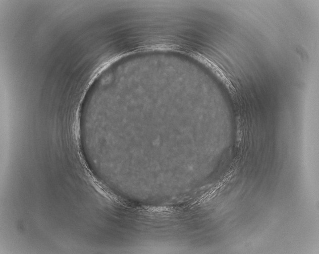 X0000115351031200912011047